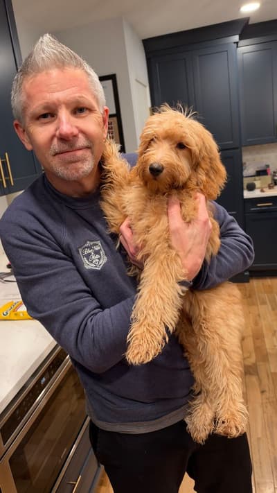 Penelope, a Goldendoodle, Mini puppy from Pawrade