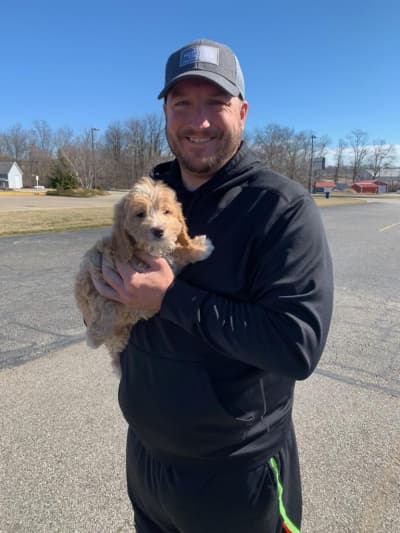 Paula, a Goldendoodle, Mini puppy from Pawrade