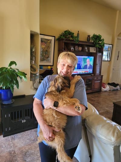 Scruffy, a Brussels Griffon puppy from Pawrade