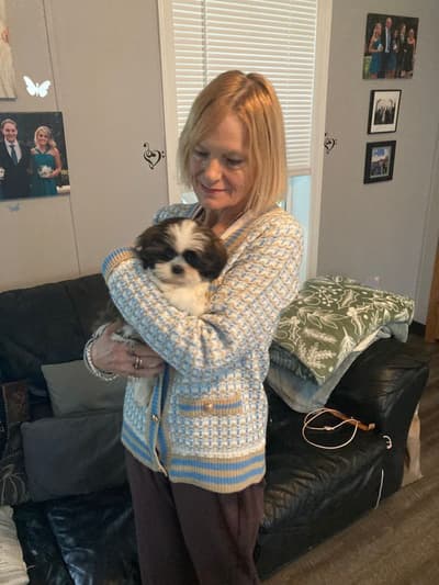 Alice, a Shih Tzu puppy from Pawrade