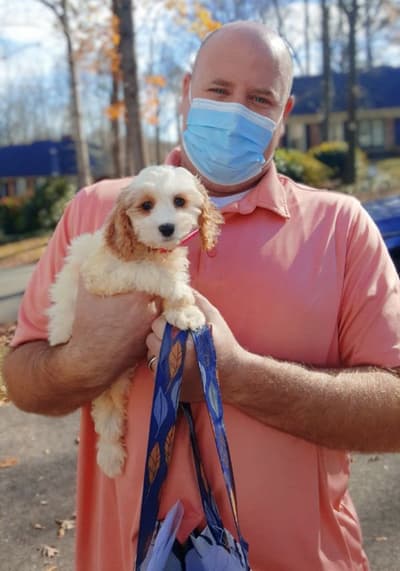 Cindy Lou, a Cockapoo puppy from Pawrade