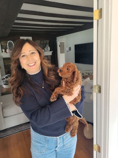 Gohan, a Cavapoo puppy from Pawrade