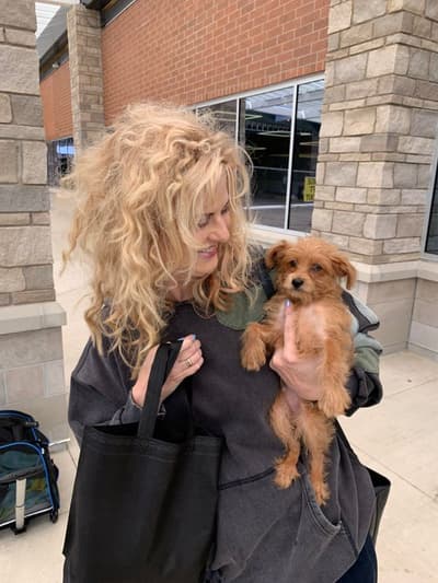 Landon, a Yorkiepoo - Yorkie Poo puppy from Pawrade