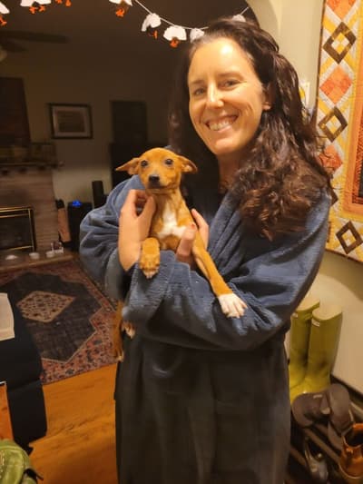 Laika, a Rat Terrier puppy from Pawrade
