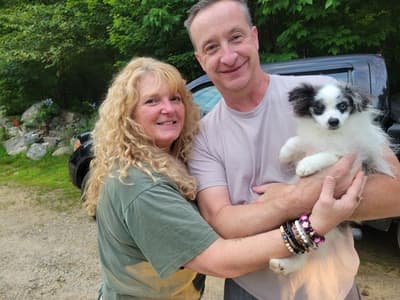 Macklin, a Pomeranian puppy from Pawrade