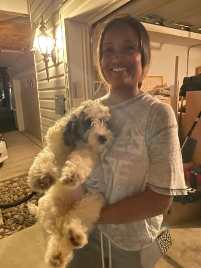 Cayla, a Goldendoodle, Mini puppy from Pawrade