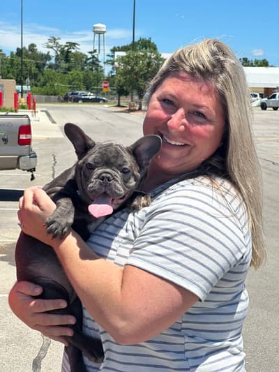 Harley, a French Bulldog puppy from Pawrade