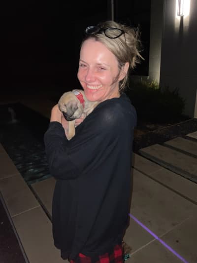 Perry, a Pug puppy from Pawrade