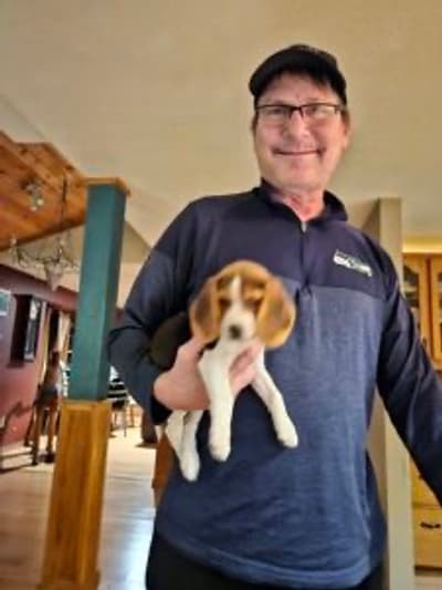 Ava, a Beagle puppy from Pawrade