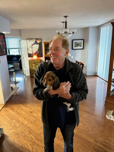 Ruby, a Beagle puppy from Pawrade