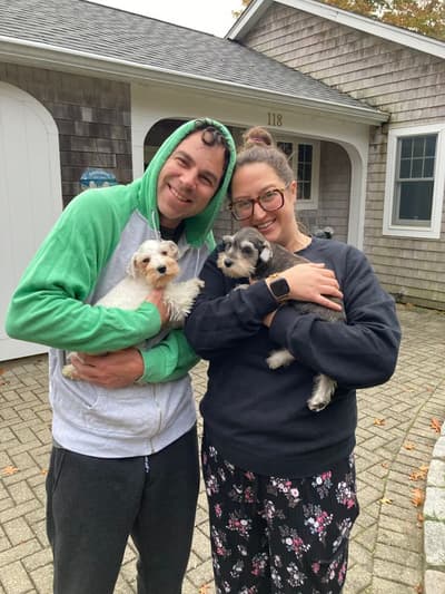 Ralph, a Schnauzer, Miniature puppy from Pawrade