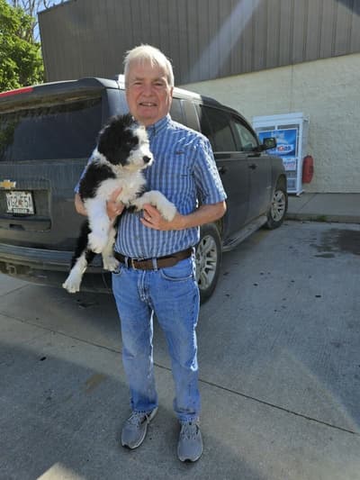 Braxton, a Aussiedoodle puppy from Pawrade