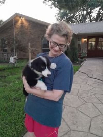 Leela, a Australian Shepherd puppy from Pawrade
