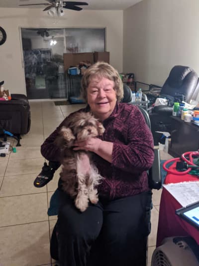 Skye, a Shih-Poo - Shihpoo puppy from Pawrade