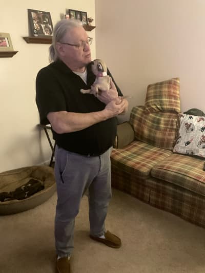 Georgia, a Pug puppy from Pawrade