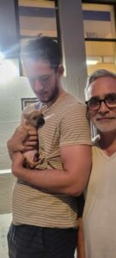 Easton, a Chihuahua puppy from Pawrade