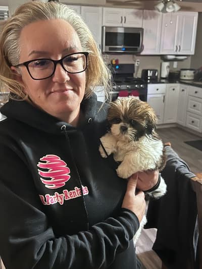 Cate, a Shih Tzu puppy from Pawrade