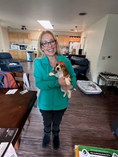 Stazie, a Beagle puppy from Pawrade