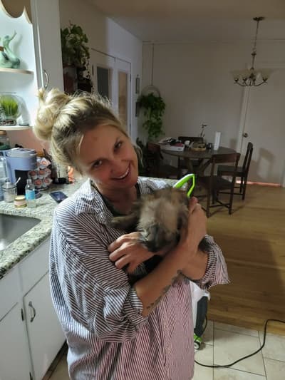 Vander, a Snorkie puppy from Pawrade