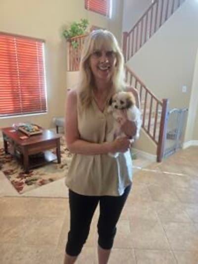 Winston, a Havanese puppy from Pawrade