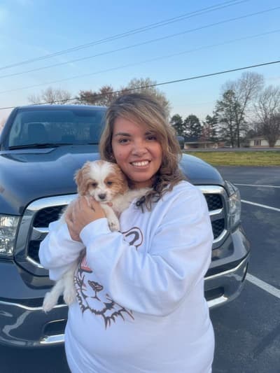 Quinten, a Cavapoo puppy from Pawrade
