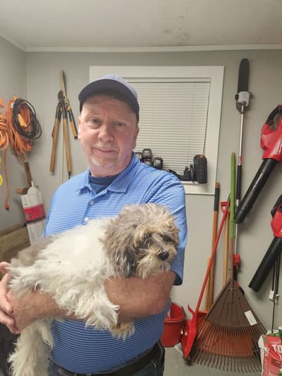 Elias, a Shih-Poo - Shihpoo puppy from Pawrade