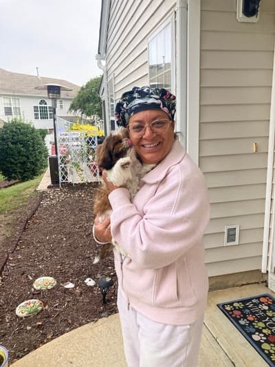 Duchess, a Shih Tzu puppy from Pawrade