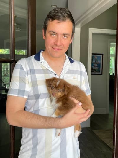 Alexander, a Miniature Australian Shepherd puppy from Pawrade