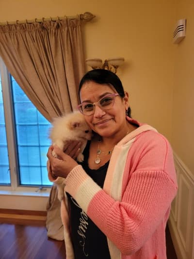 Shirley, a Pomeranian puppy from Pawrade