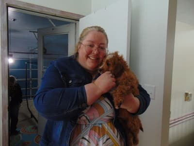 Jedidiah, a Cavapoo puppy from Pawrade