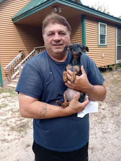 Naomi, a Miniature Pinscher puppy from Pawrade