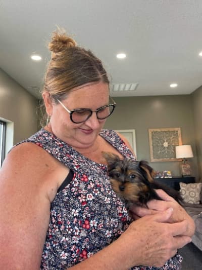 Fiona, a Yorkshire Terrier - Yorkie puppy from Pawrade