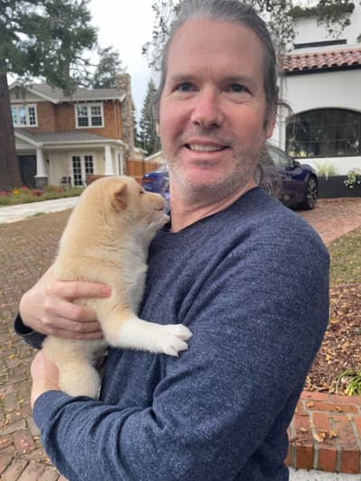 Snowball, a Shiba Inu puppy from Pawrade