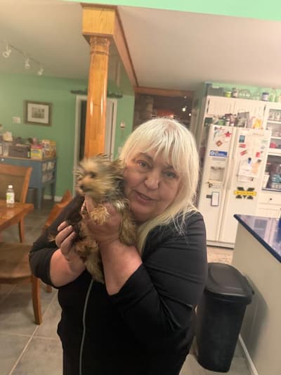 Joli, a Yorkshire Terrier - Yorkie puppy from Pawrade