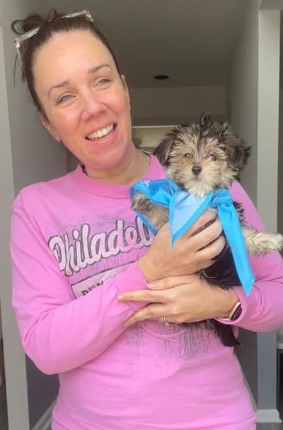 Samwell, a Morkie / Yorktese puppy from Pawrade