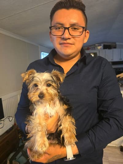 Bryce, a Yorkshire Terrier - Yorkie puppy from Pawrade