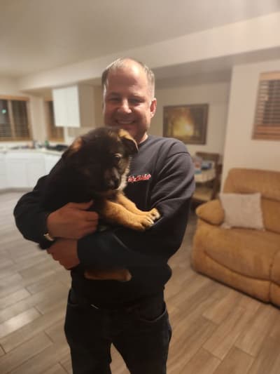 Robert, a German Shepherd puppy from Pawrade