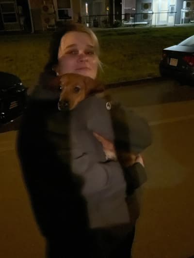 Duke, a Dachshund, Mini puppy from Pawrade