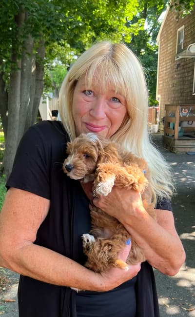 Dalton, a Cockapoo puppy from Pawrade
