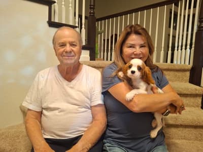 Bismarck, a Cavalier King Charles Spaniel puppy from Pawrade