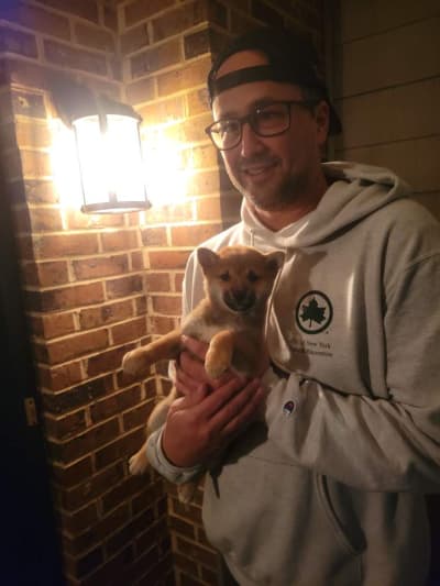 Pilgrim, a Shiba Inu puppy from Pawrade