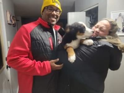 Red, a Bernese Mountain Dog puppy from Pawrade