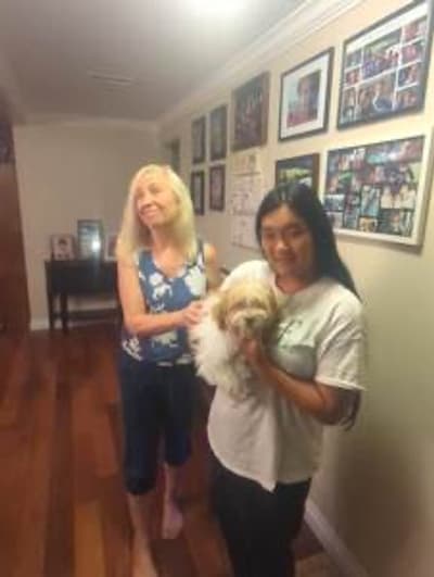 Bailey, a Havanese puppy from Pawrade