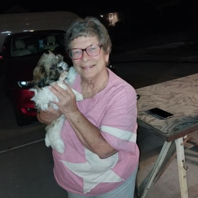 Sean, a Shih Tzu puppy from Pawrade