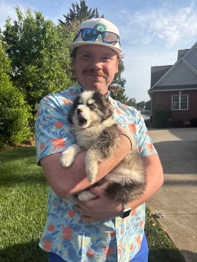 Ezra, a Pomsky puppy from Pawrade