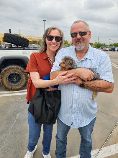 Reggie, a Yorkiepoo - Yorkie Poo puppy from Pawrade