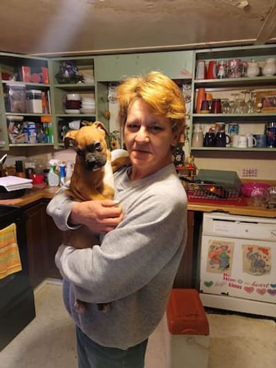 Bruno, a Boxer puppy from Pawrade