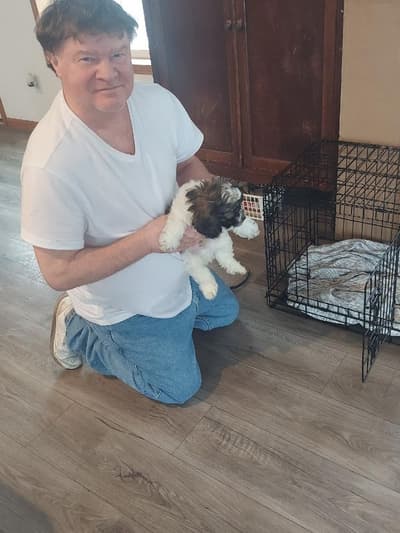 Brody, a Cockachon puppy from Pawrade