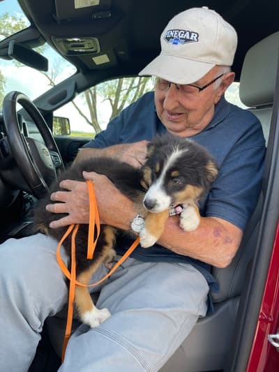 Kia, a Australian Shepherd puppy from Pawrade