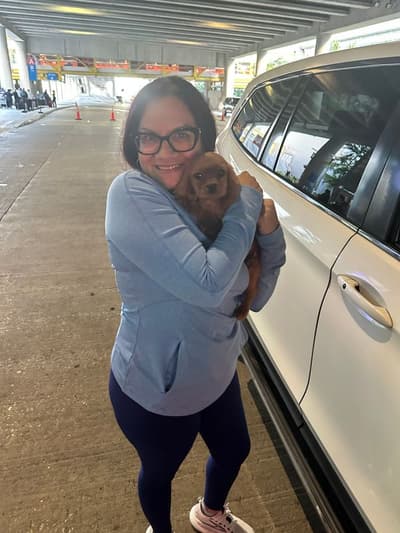 Jason, a Cavalier King Charles Spaniel puppy from Pawrade